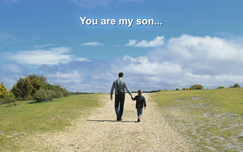Father walking with his son in the field