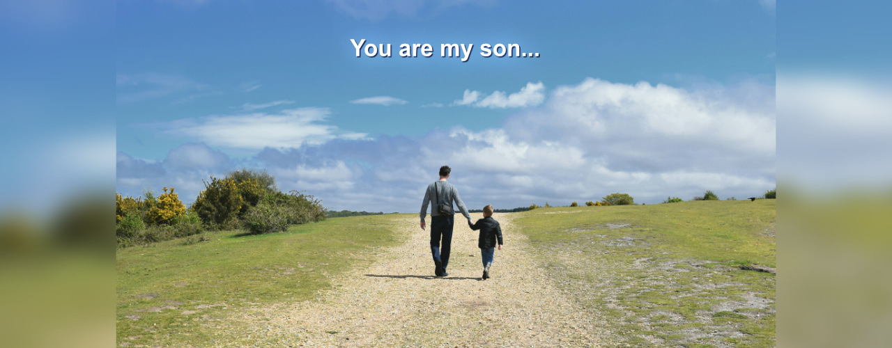 Father walking with his son in the field